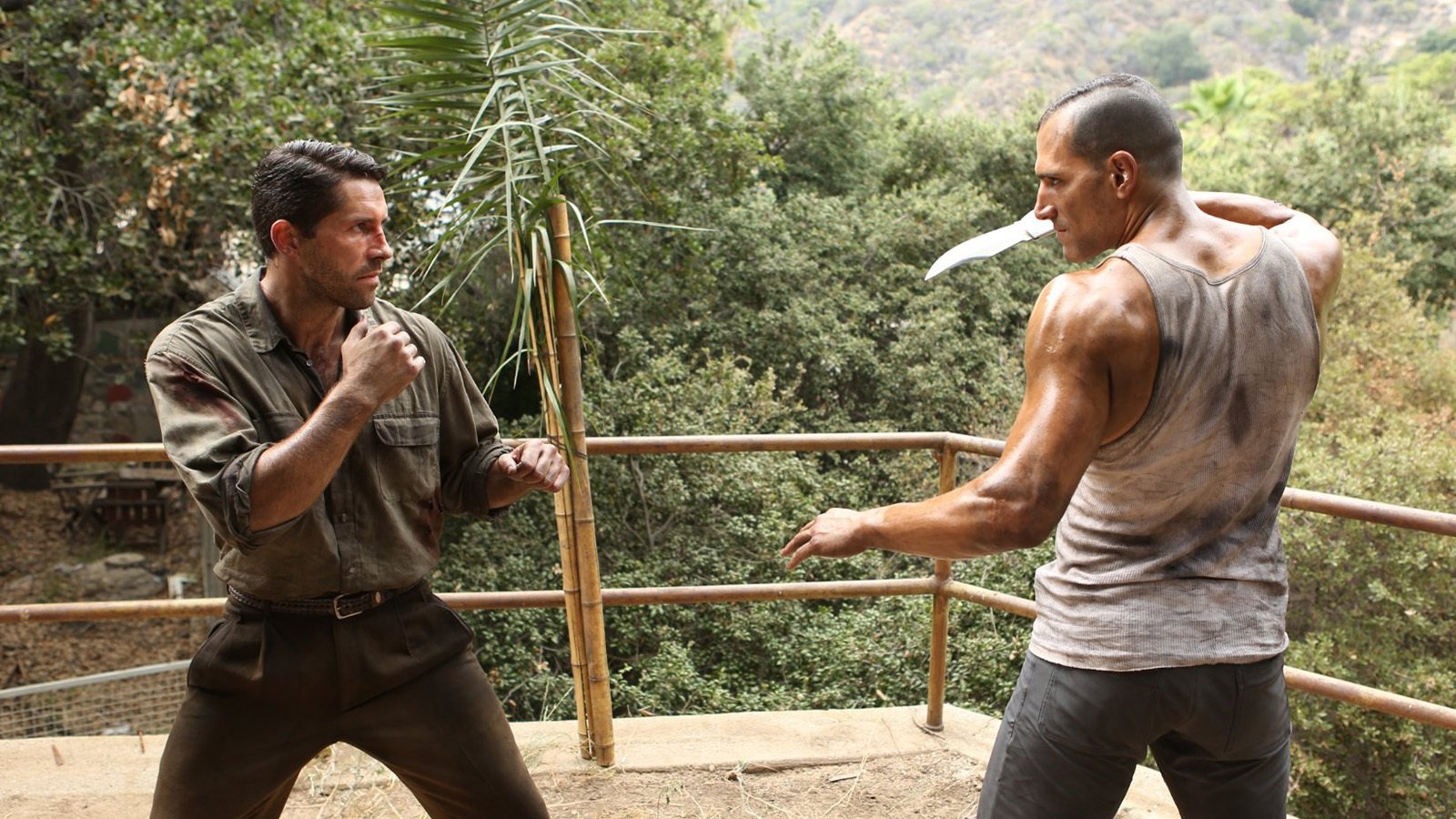 Backdrop for Savage Dog