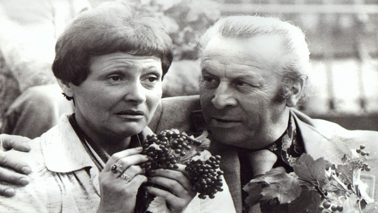 Backdrop for Bezkresne łąki