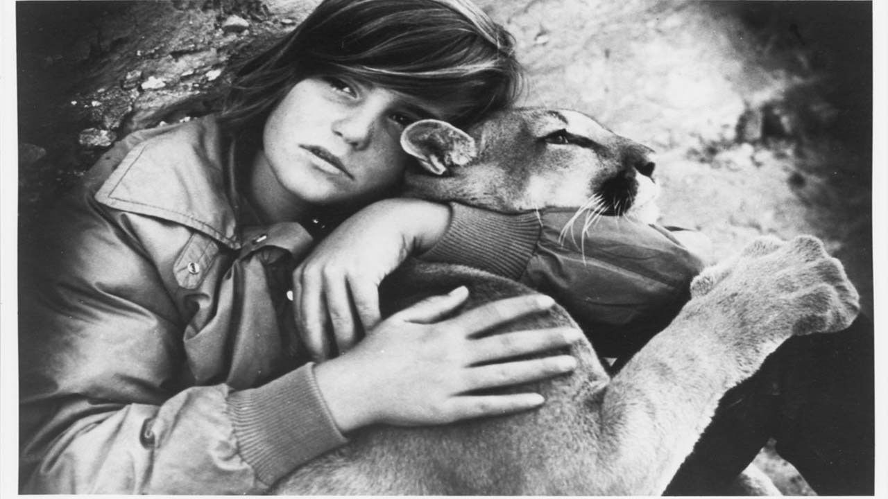 Backdrop for The Trap on Cougar Mountain