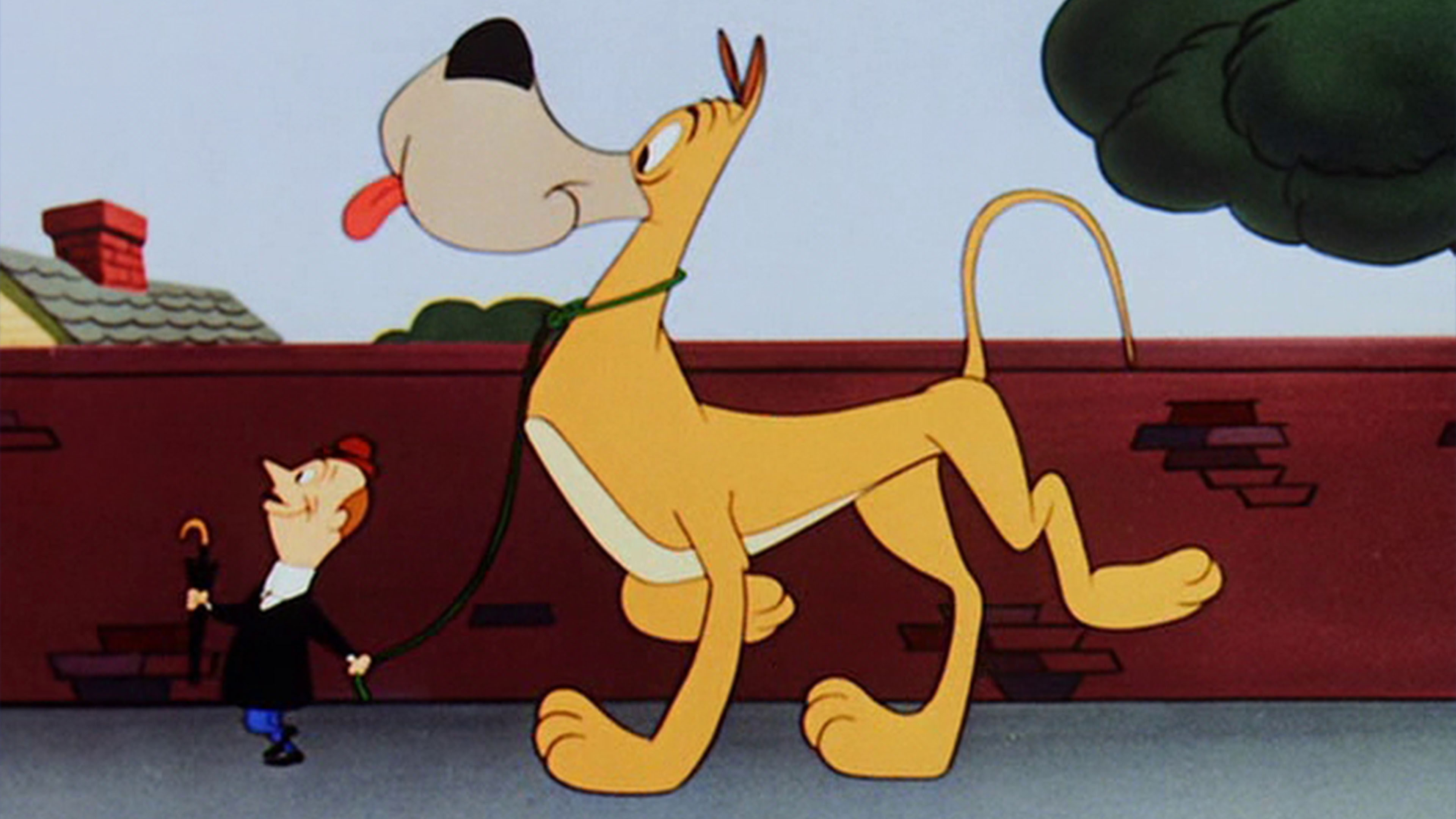 Backdrop for Dig That Dog