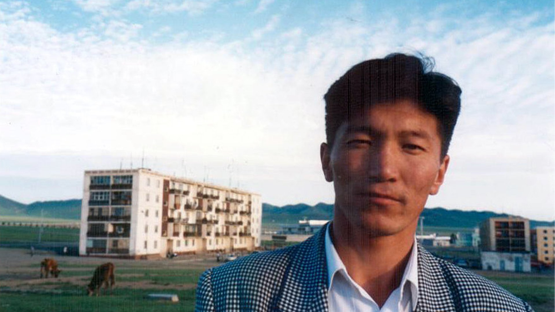 Backdrop for State of Dogs