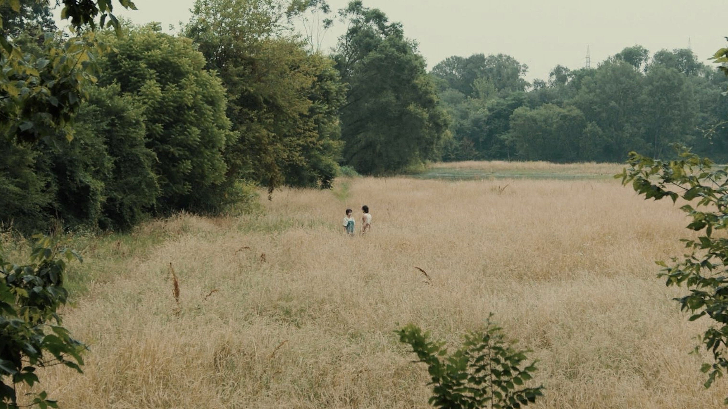 Backdrop for oh peace...