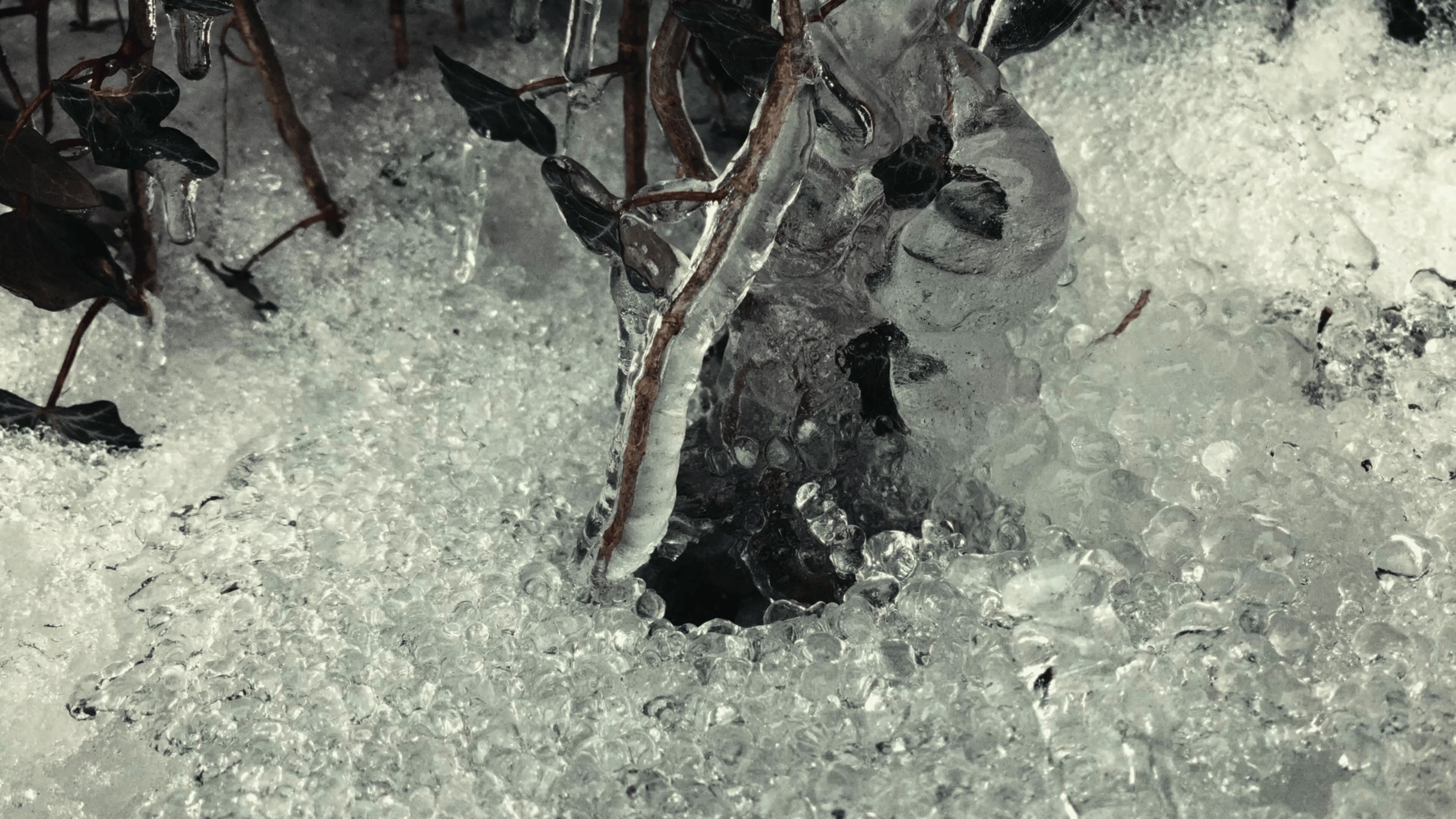 Backdrop for Friend of the Drifting Light