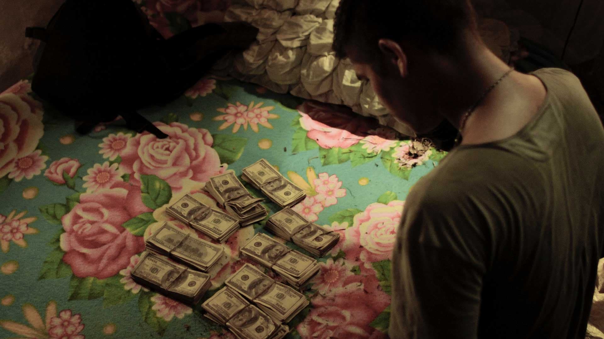 Backdrop for Dogwashers