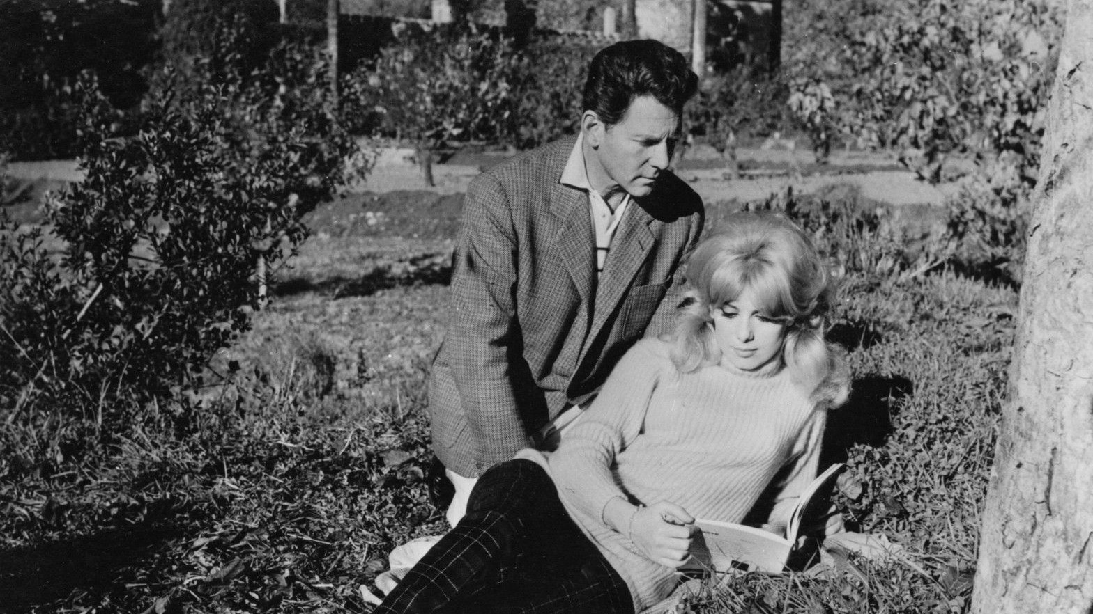 Backdrop for Portuguese Vacation