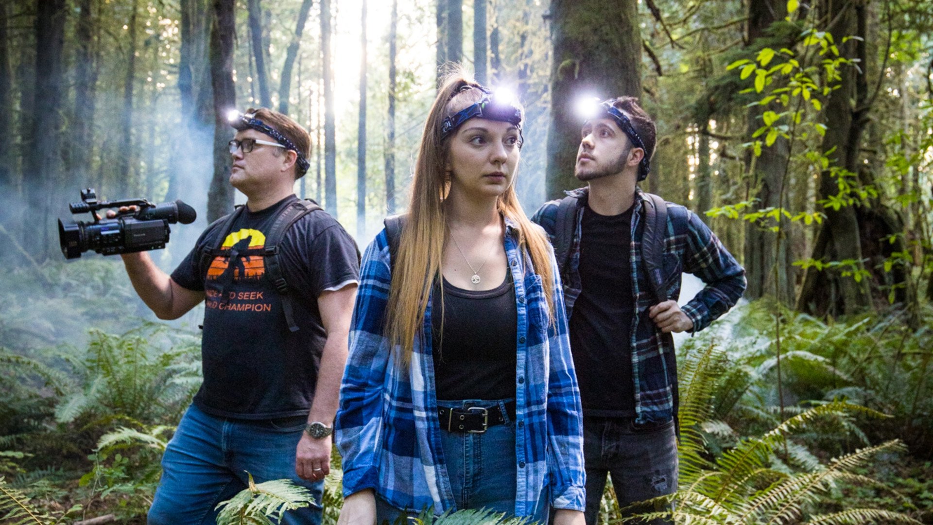 Backdrop for Legend of the Forest