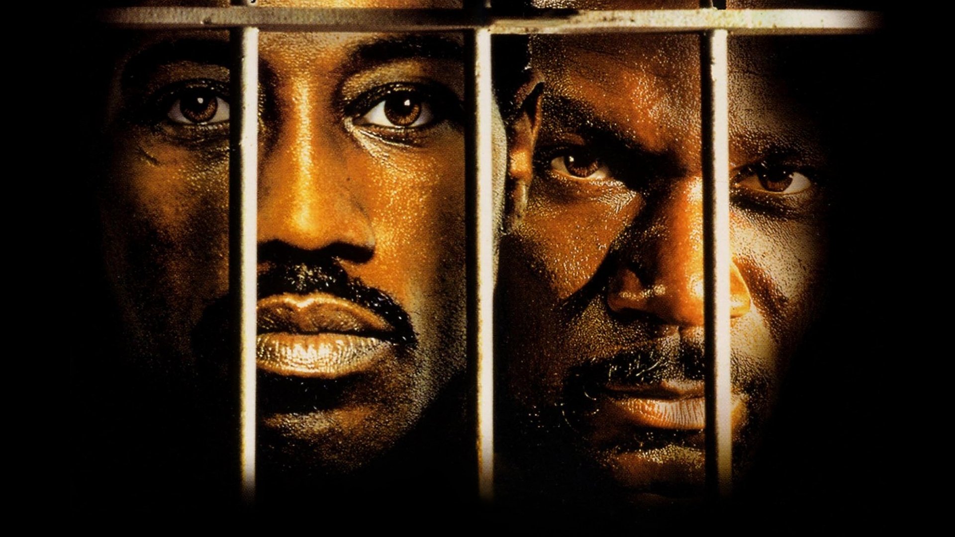 Backdrop for Undisputed