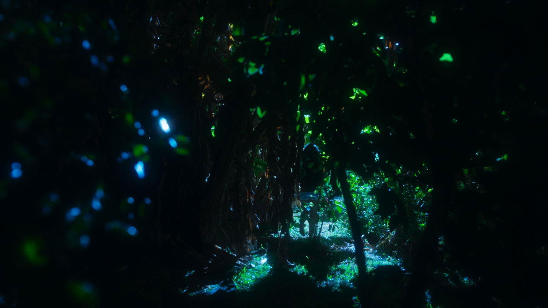 Backdrop for Lo Chan Lo Bassin