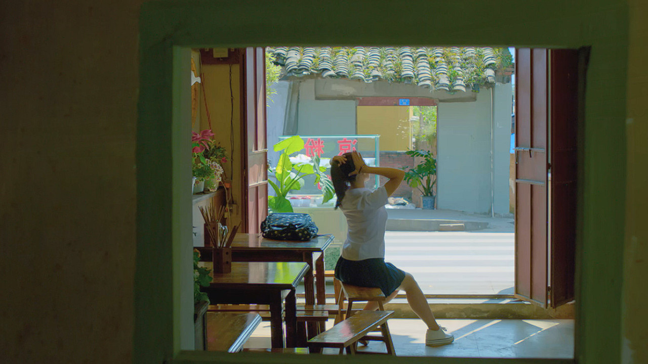 Backdrop for Summer Flowers