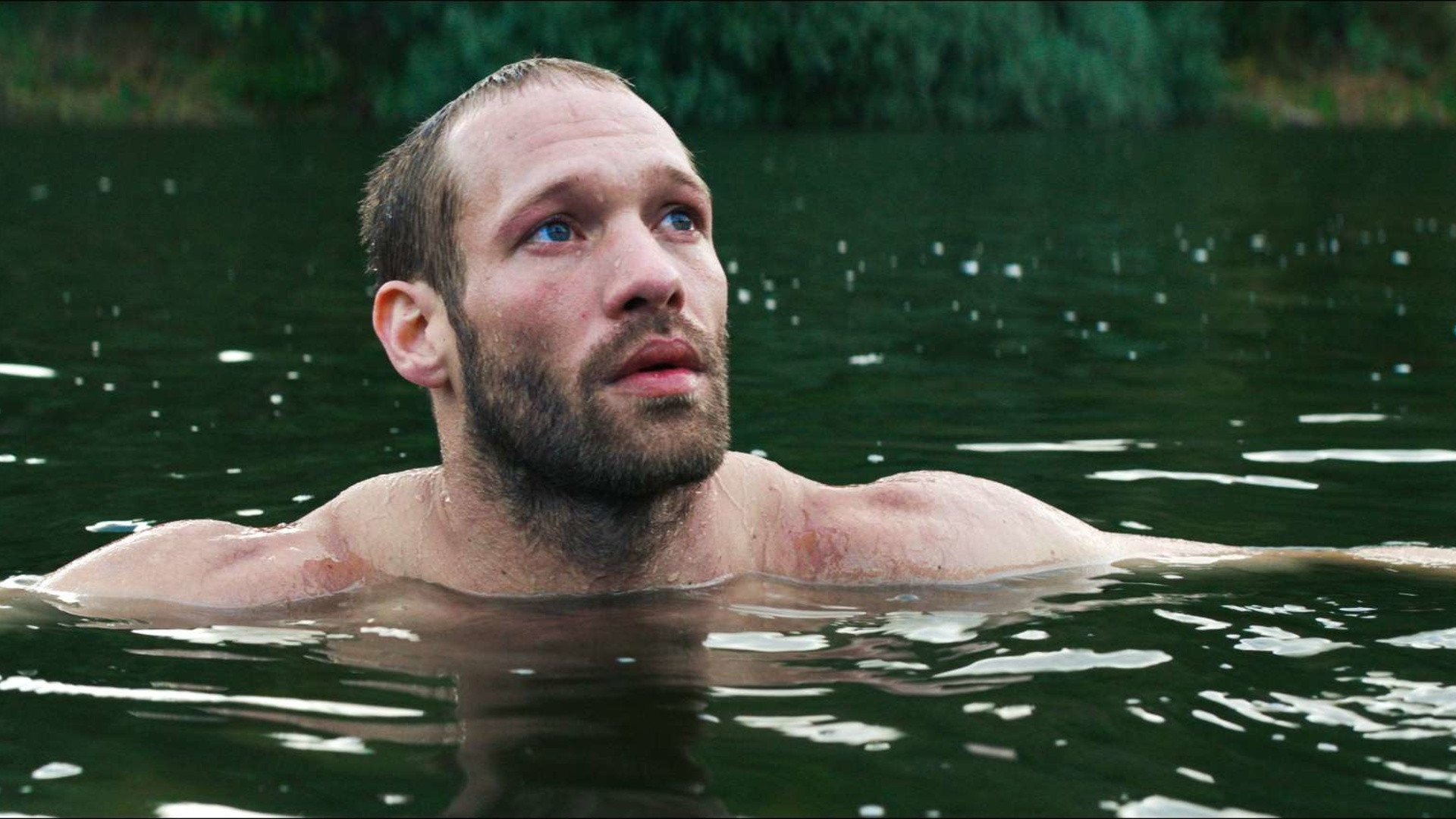 Backdrop for The Ornithologist