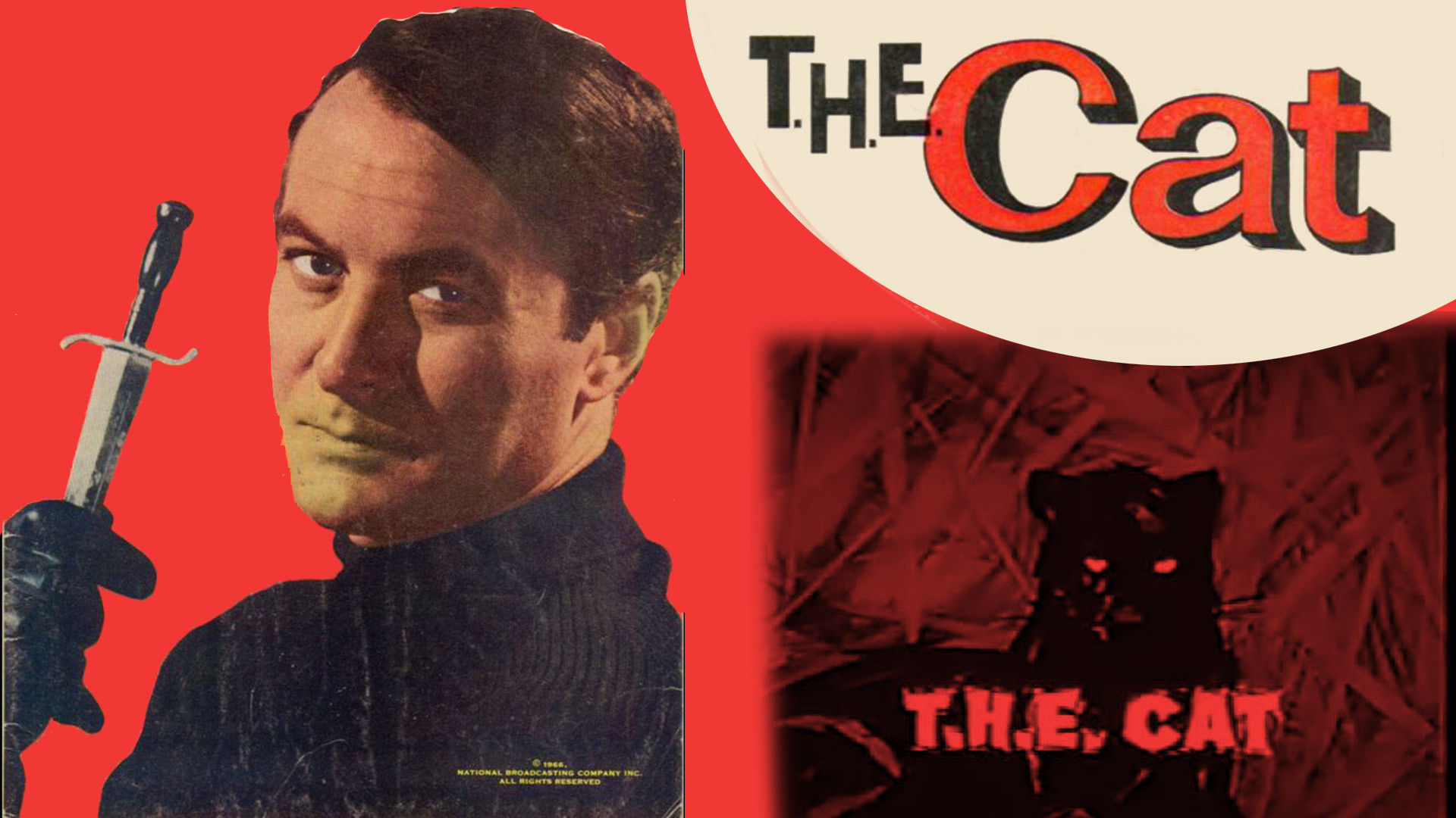 Backdrop for T.H.E. Cat