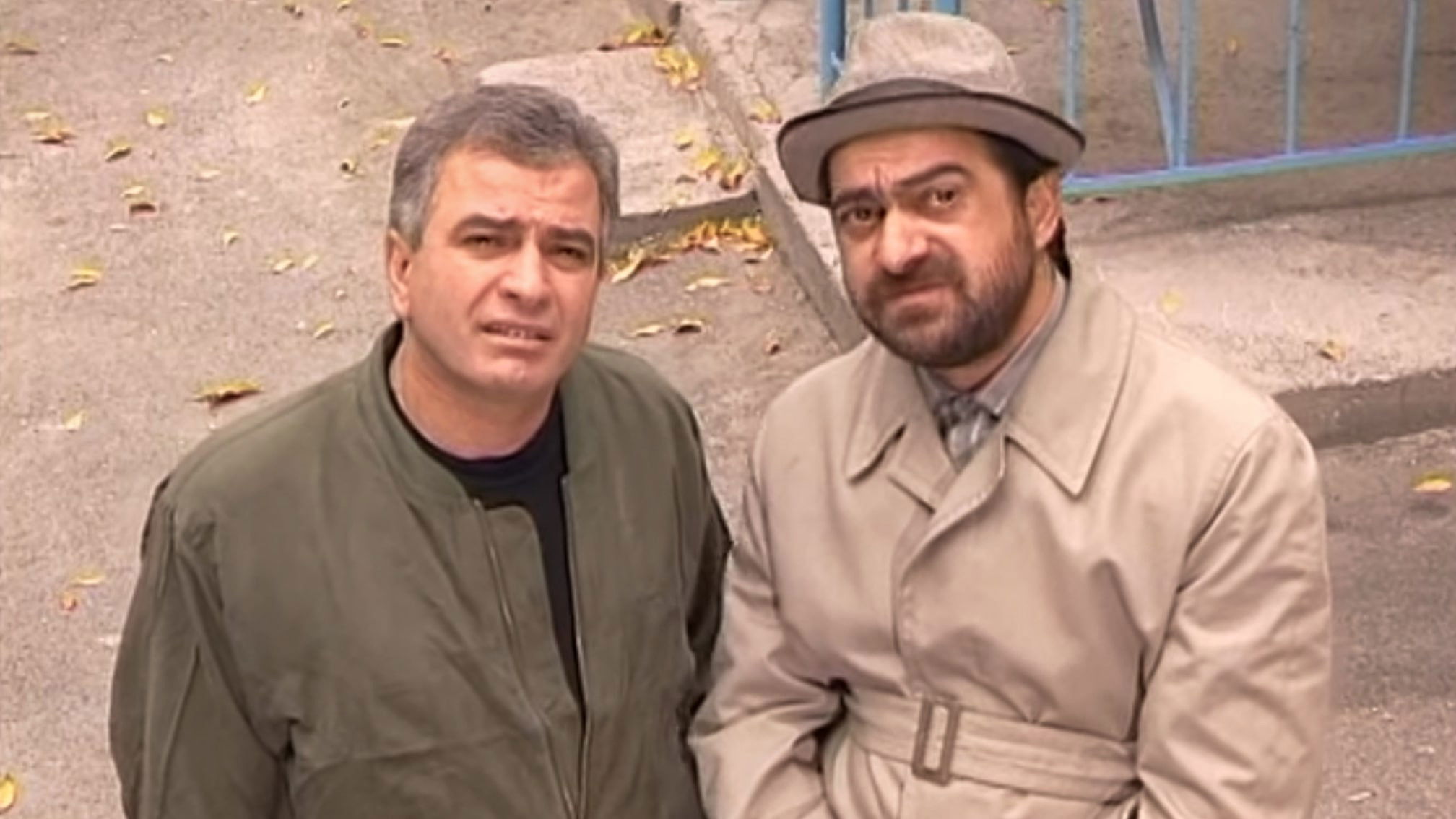 Backdrop for Our Yard