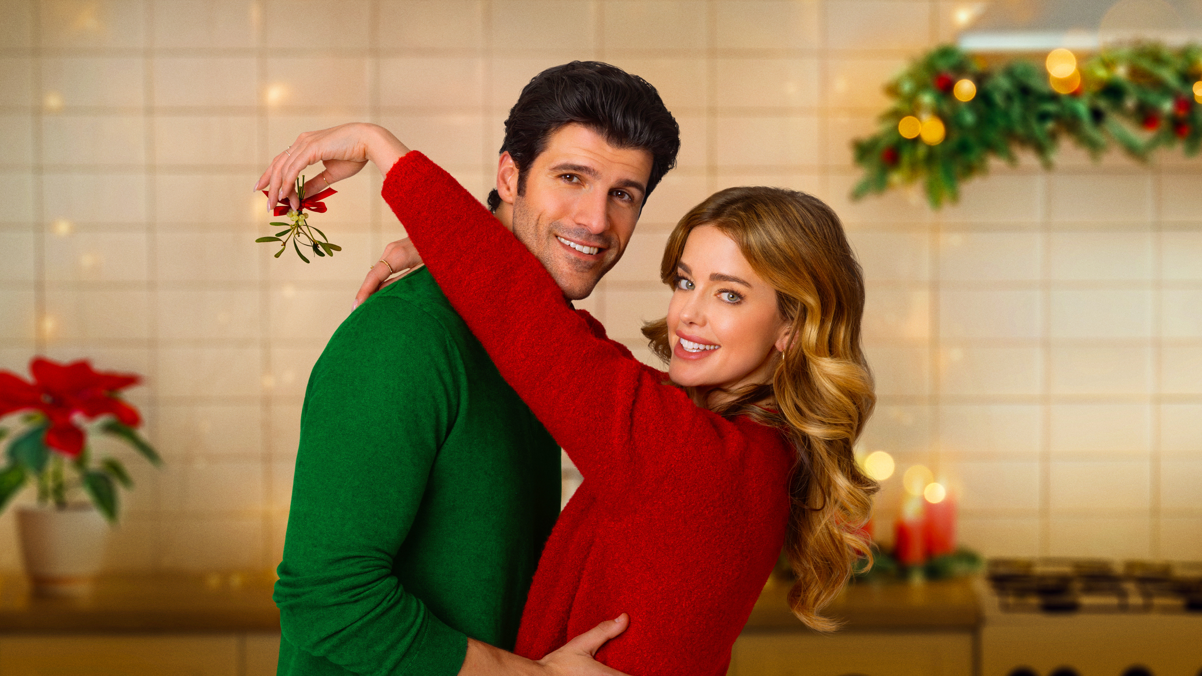 Backdrop for The Christmas Cookbook