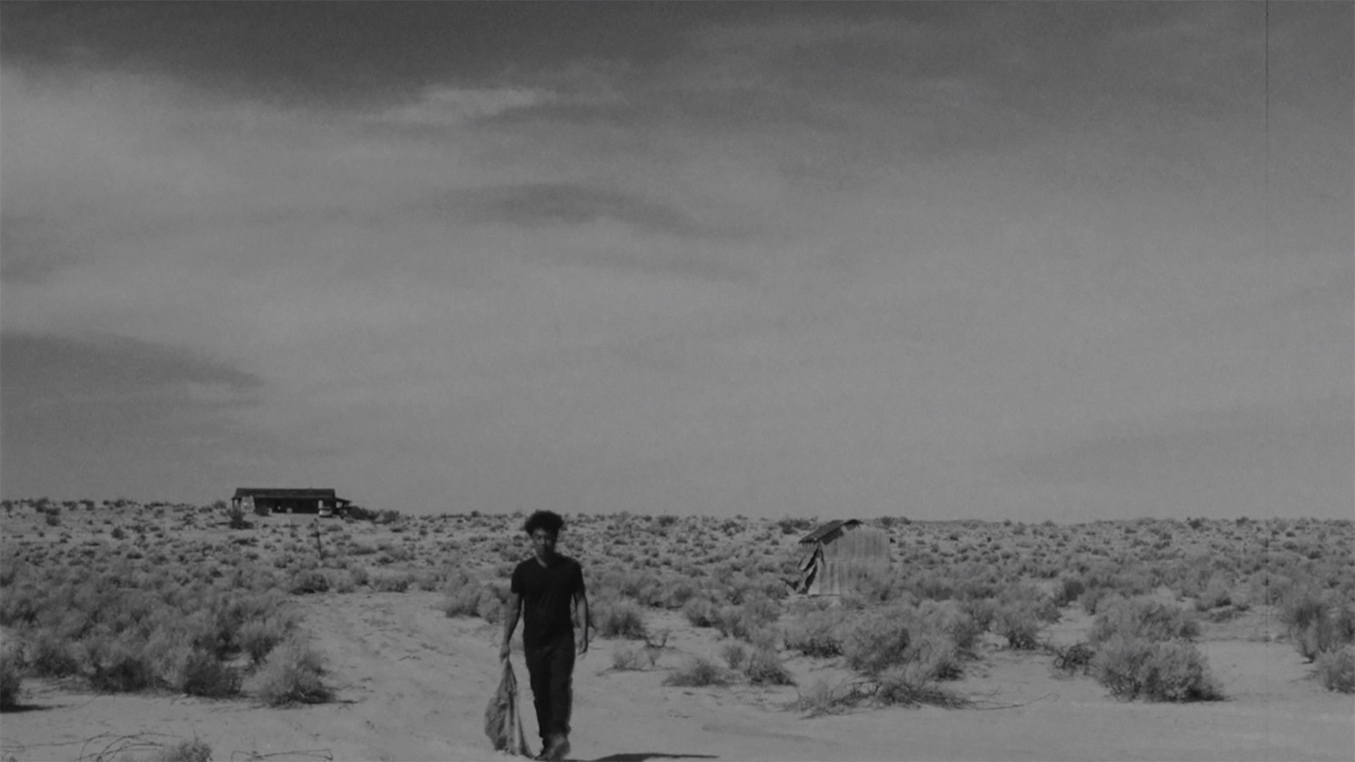 Backdrop for Moodswing Whiskey