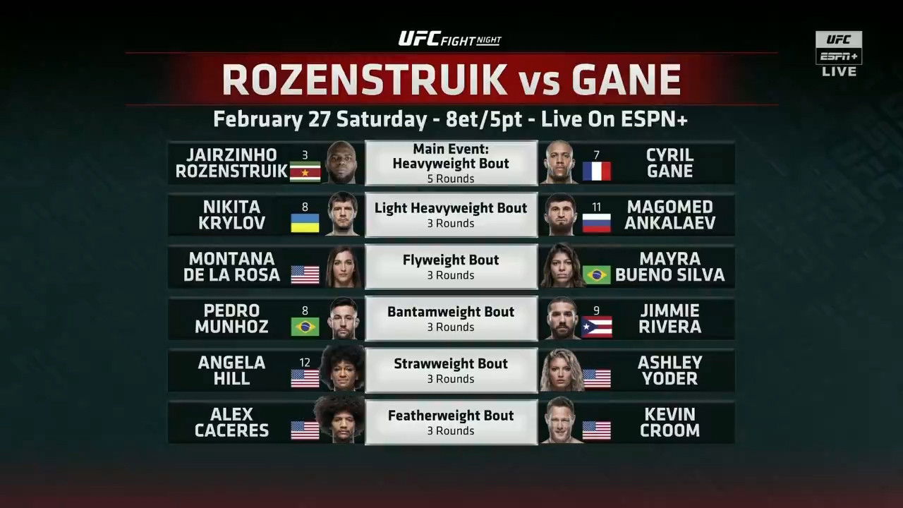 Backdrop for UFC Fight Night 186: Rozenstruik vs. Gane