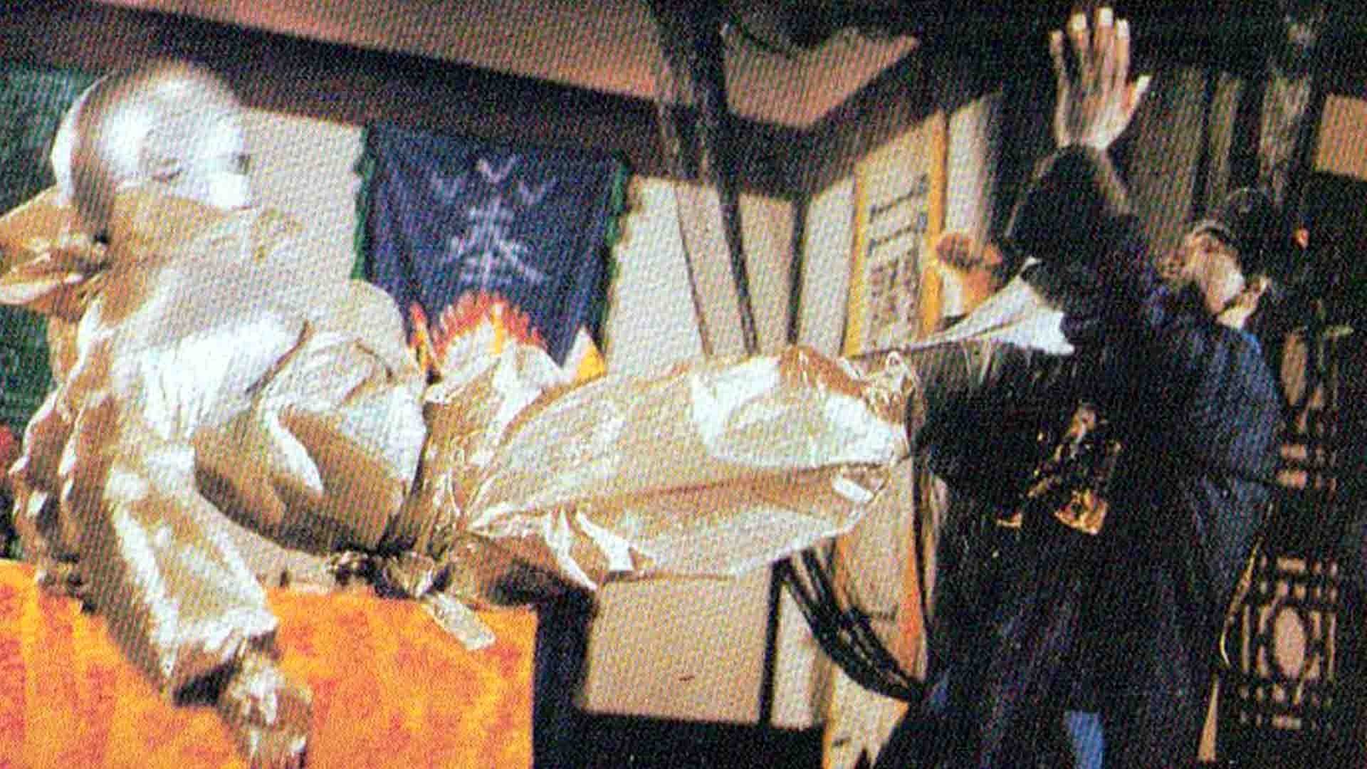 Backdrop for Devil's Dynamite