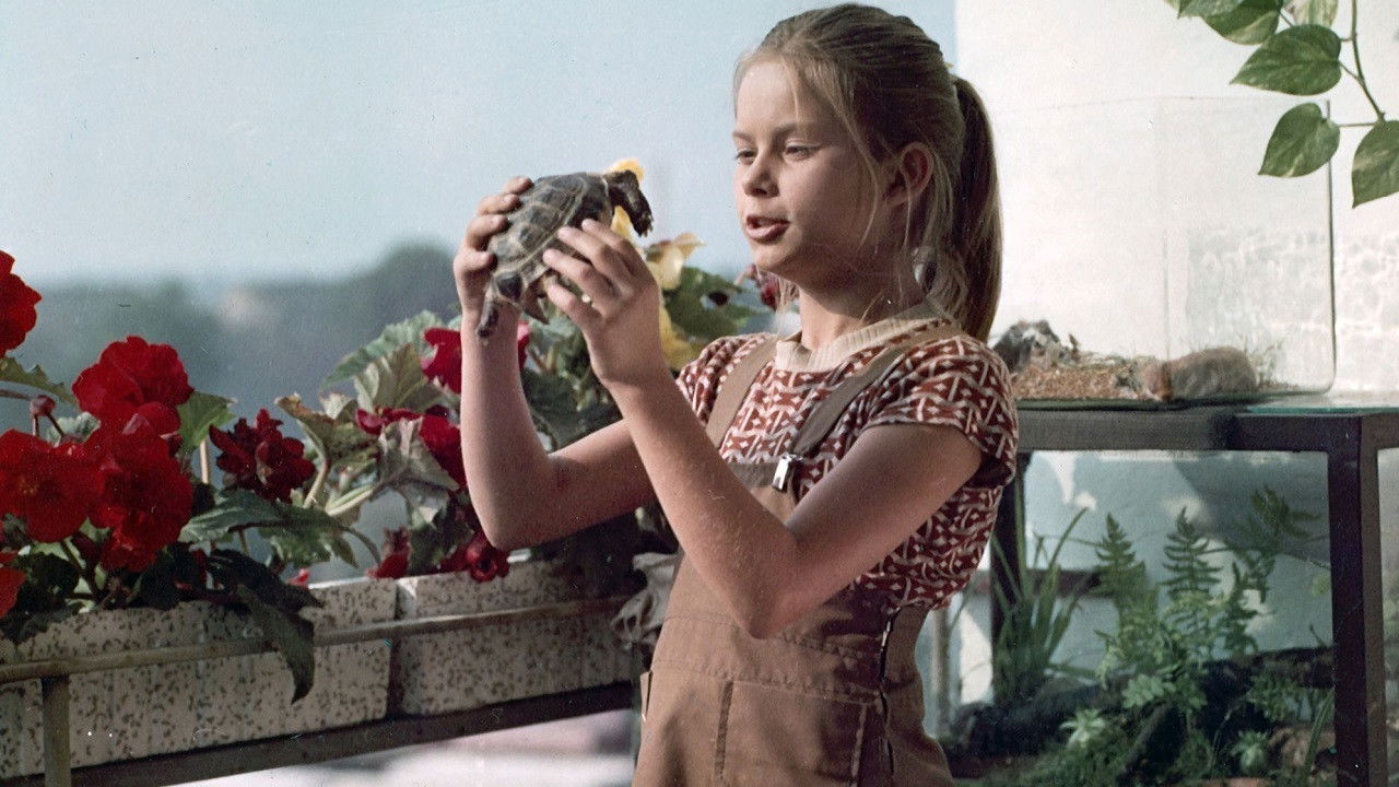 Backdrop for Susanne and the Magic Ring