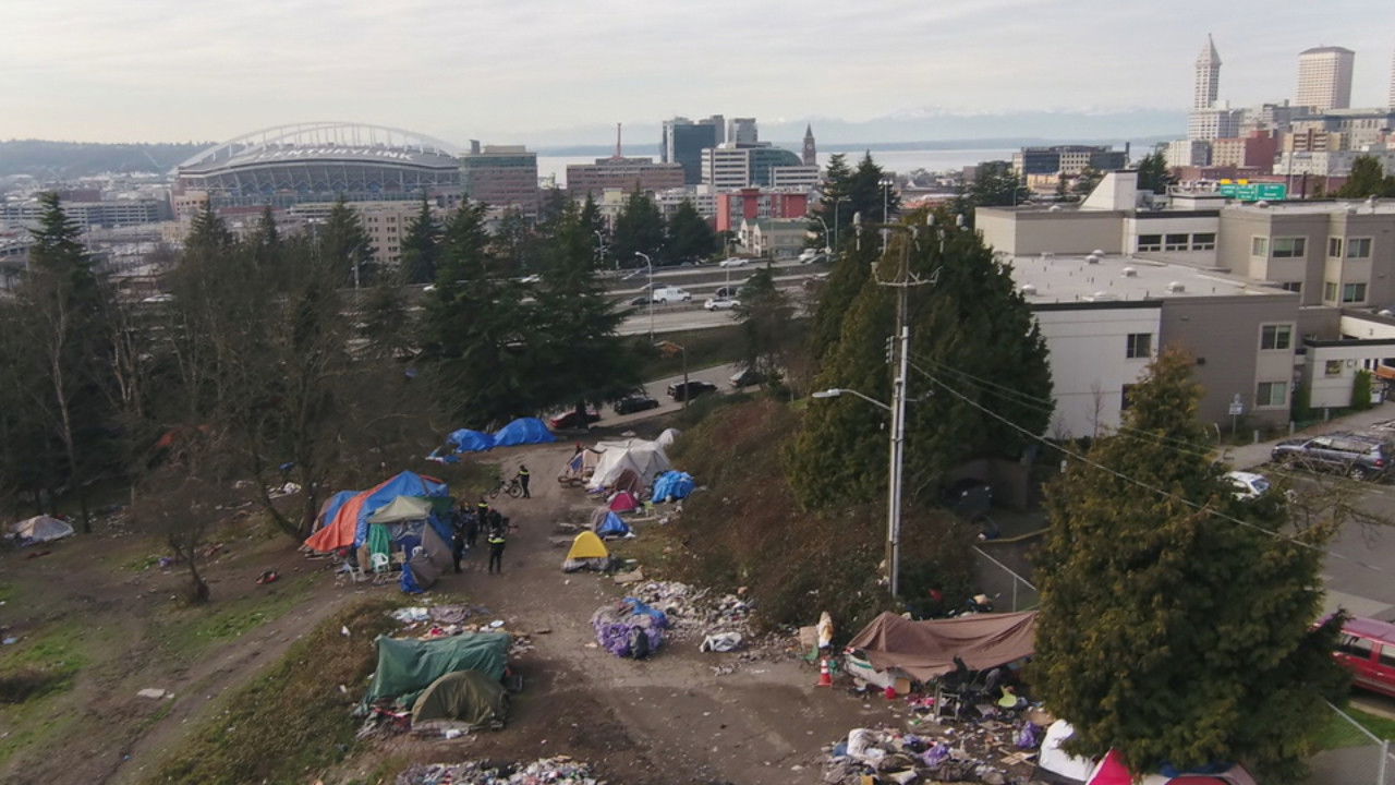 Backdrop for Seattle is Dying