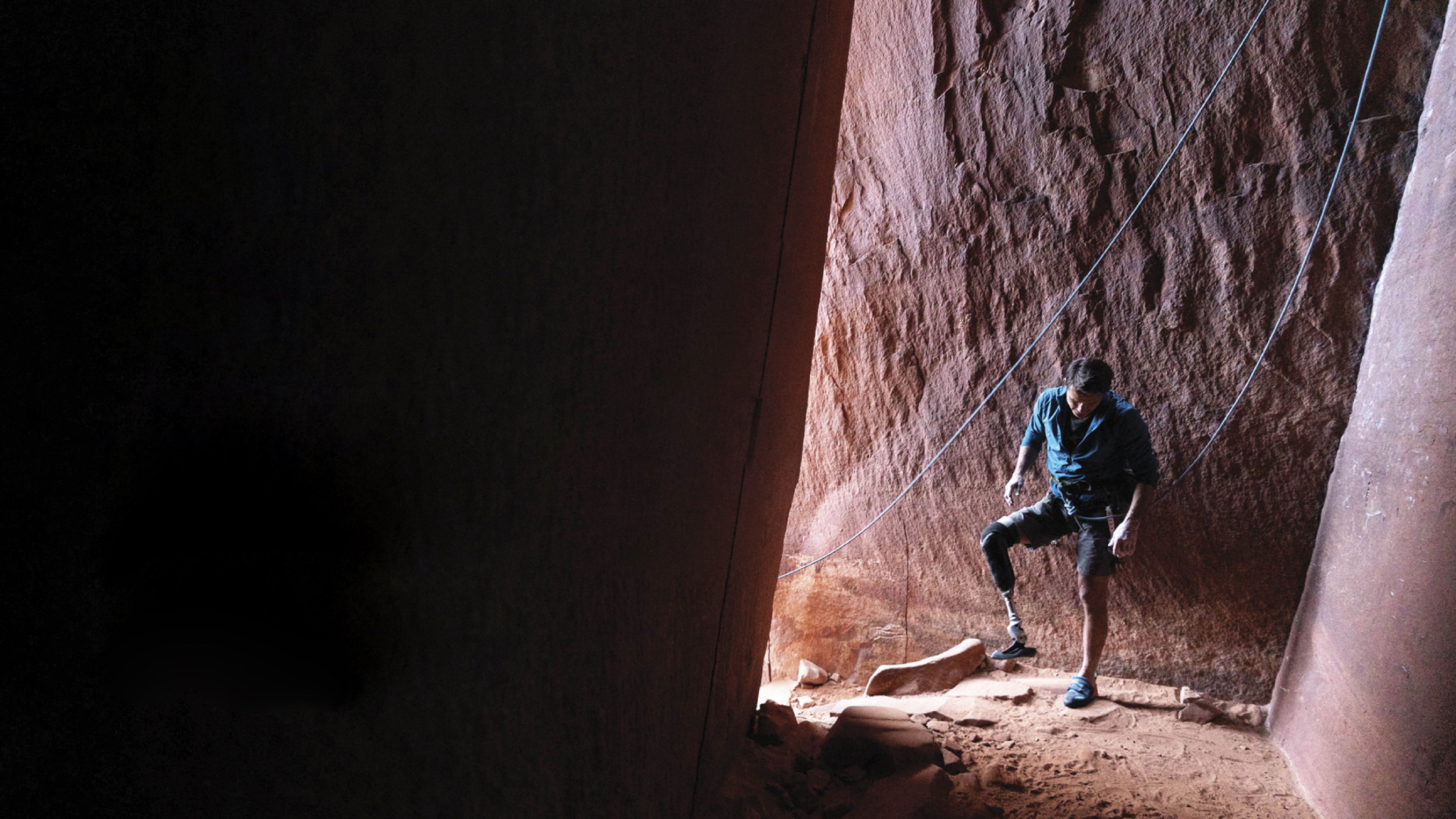Backdrop for Out on a Limb