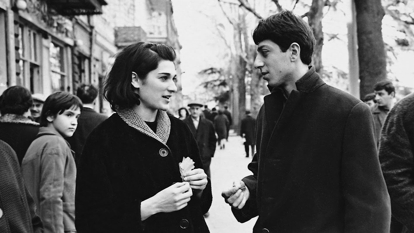 Backdrop for Falling Leaves