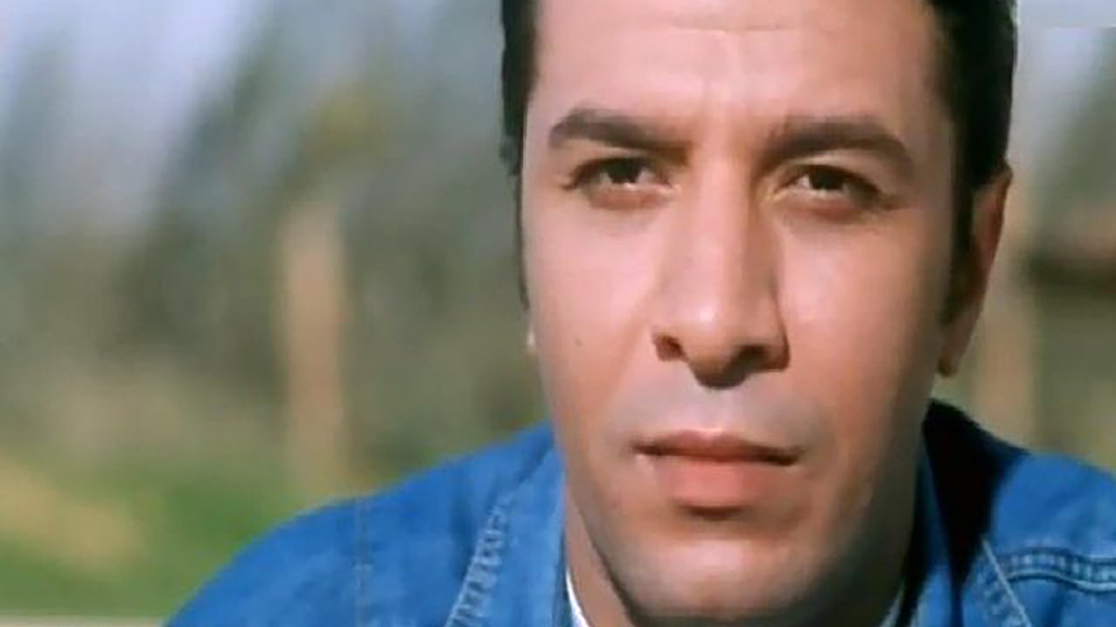 Backdrop for Peace bro