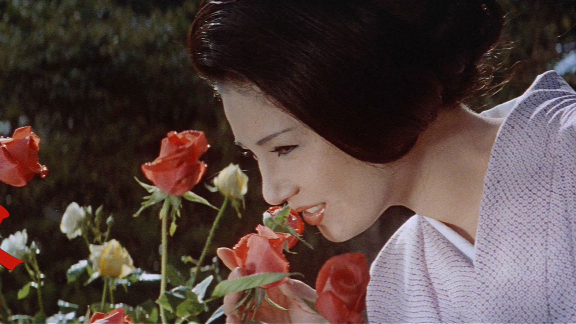 Backdrop for Flower & Snake