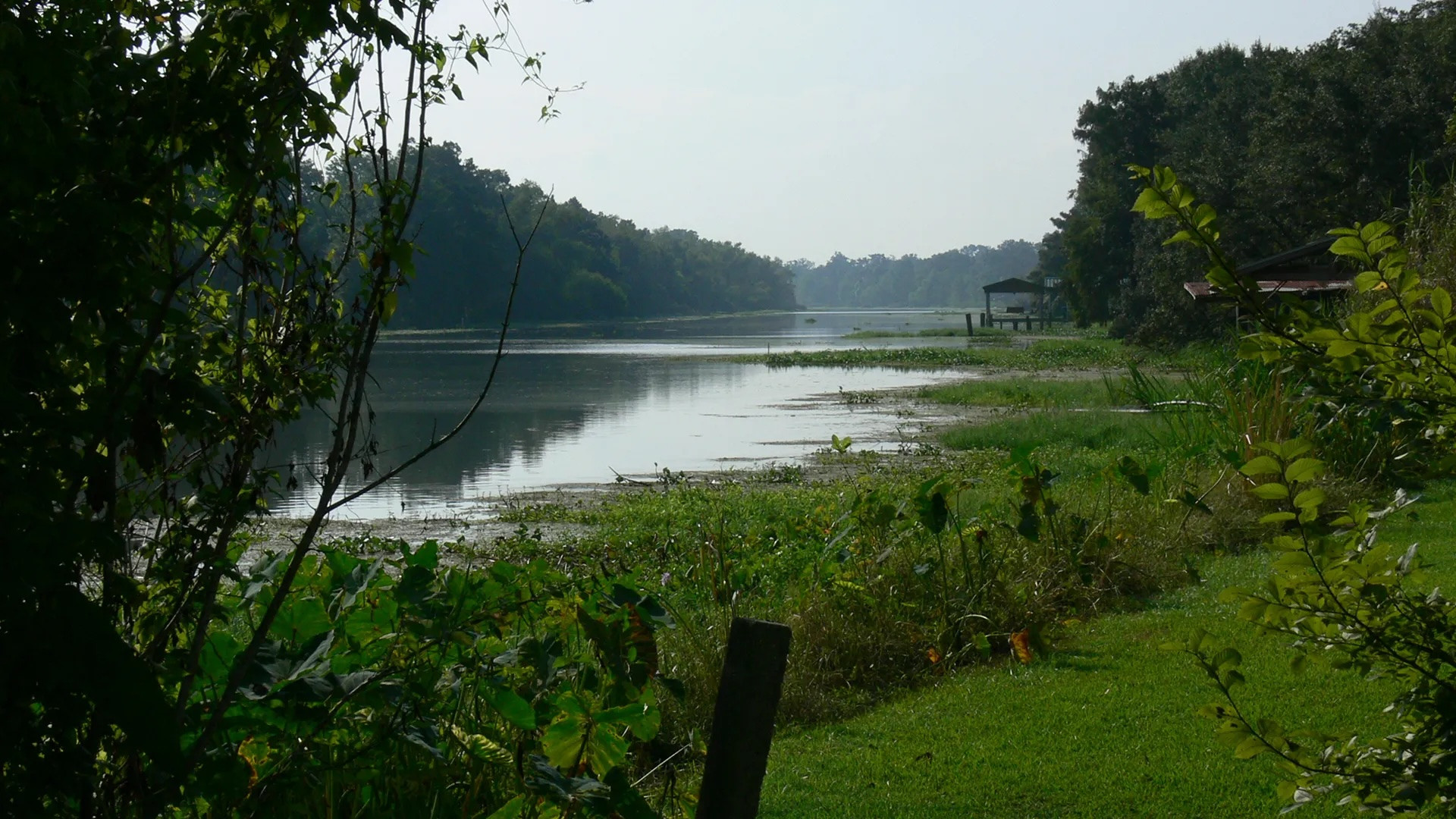 Backdrop for Rivers and Life