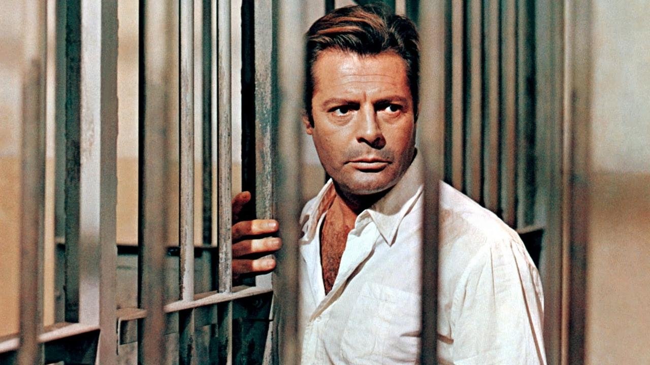 Backdrop for The Stranger