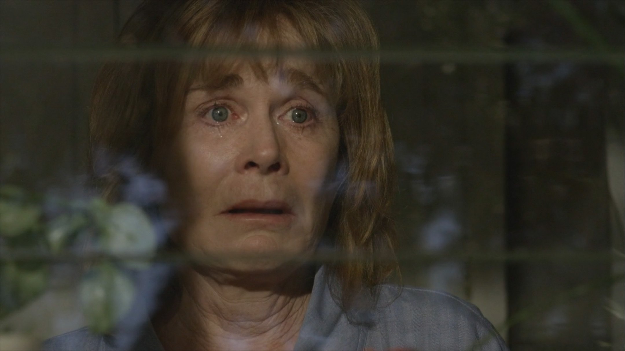 Backdrop for Harvey's Dream