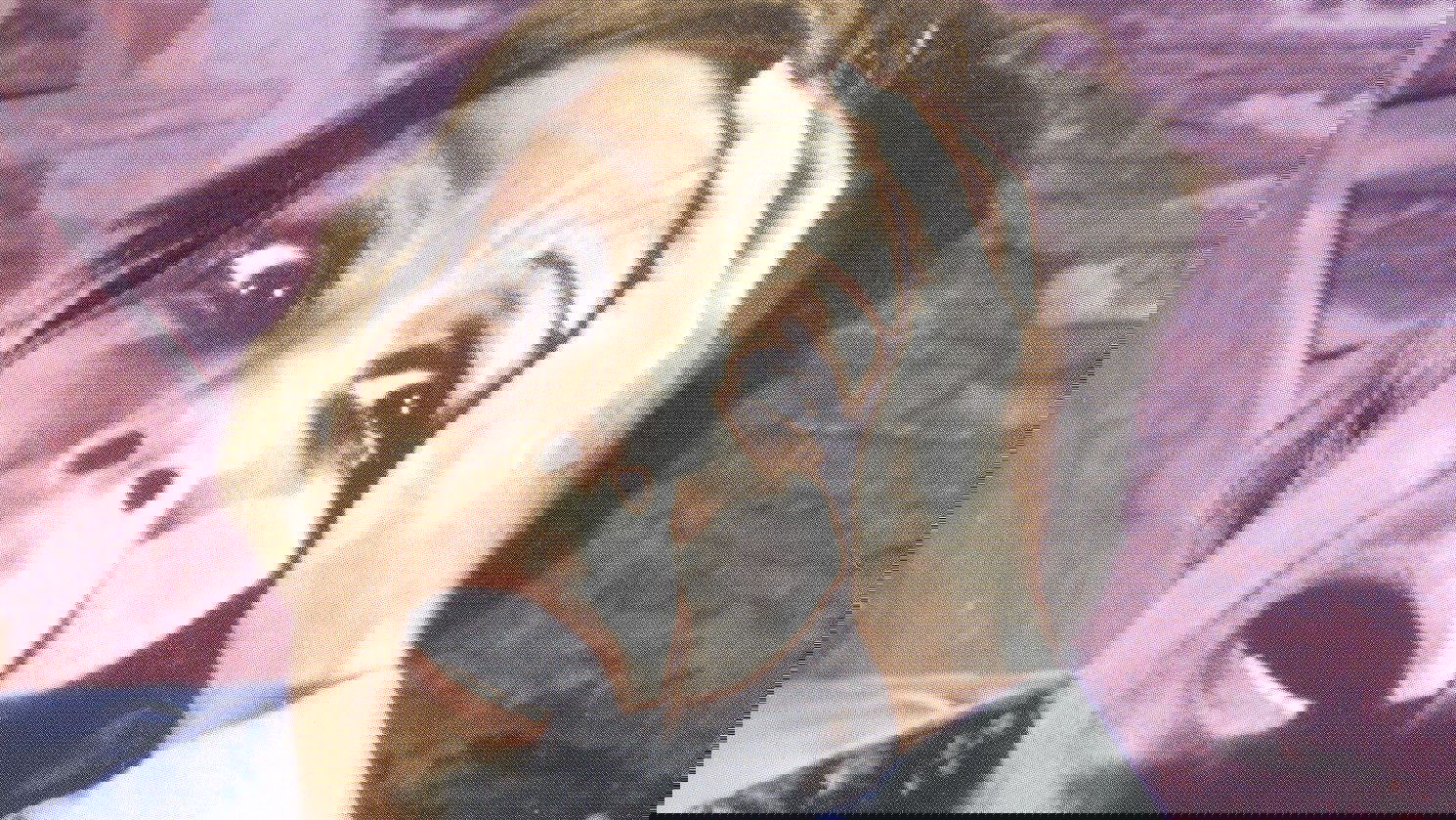 Backdrop for Don't Look in the Basement