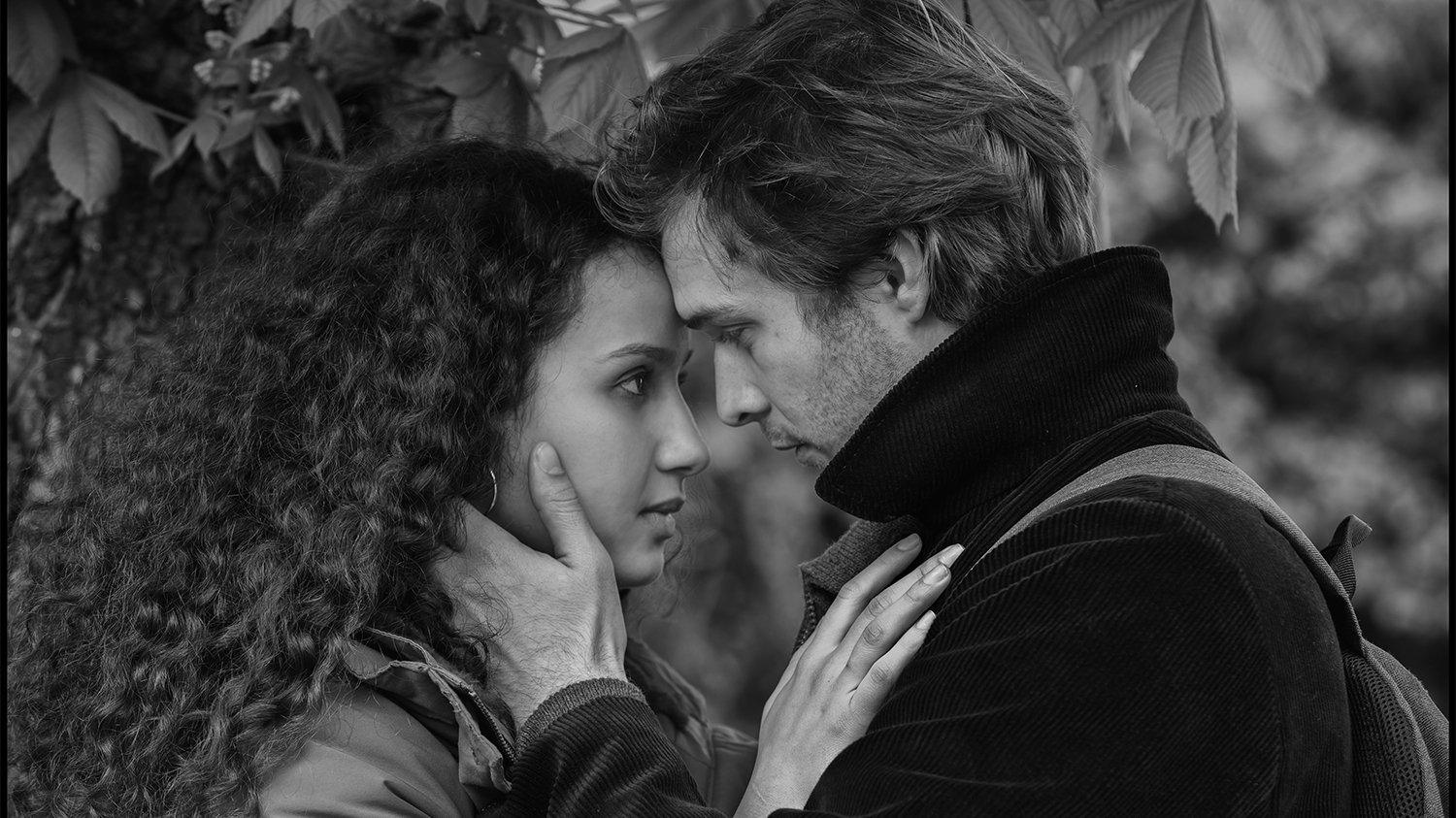 Backdrop for The Salt of Tears