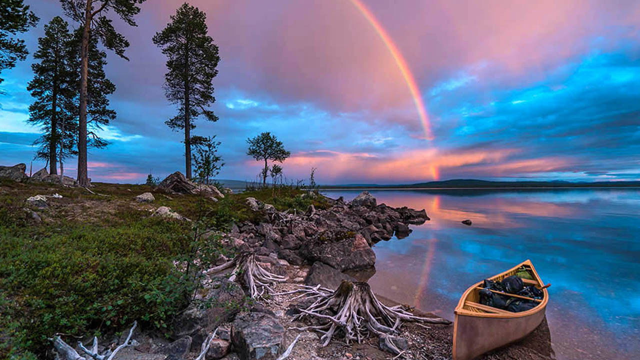 Backdrop for Wild Scandinavia