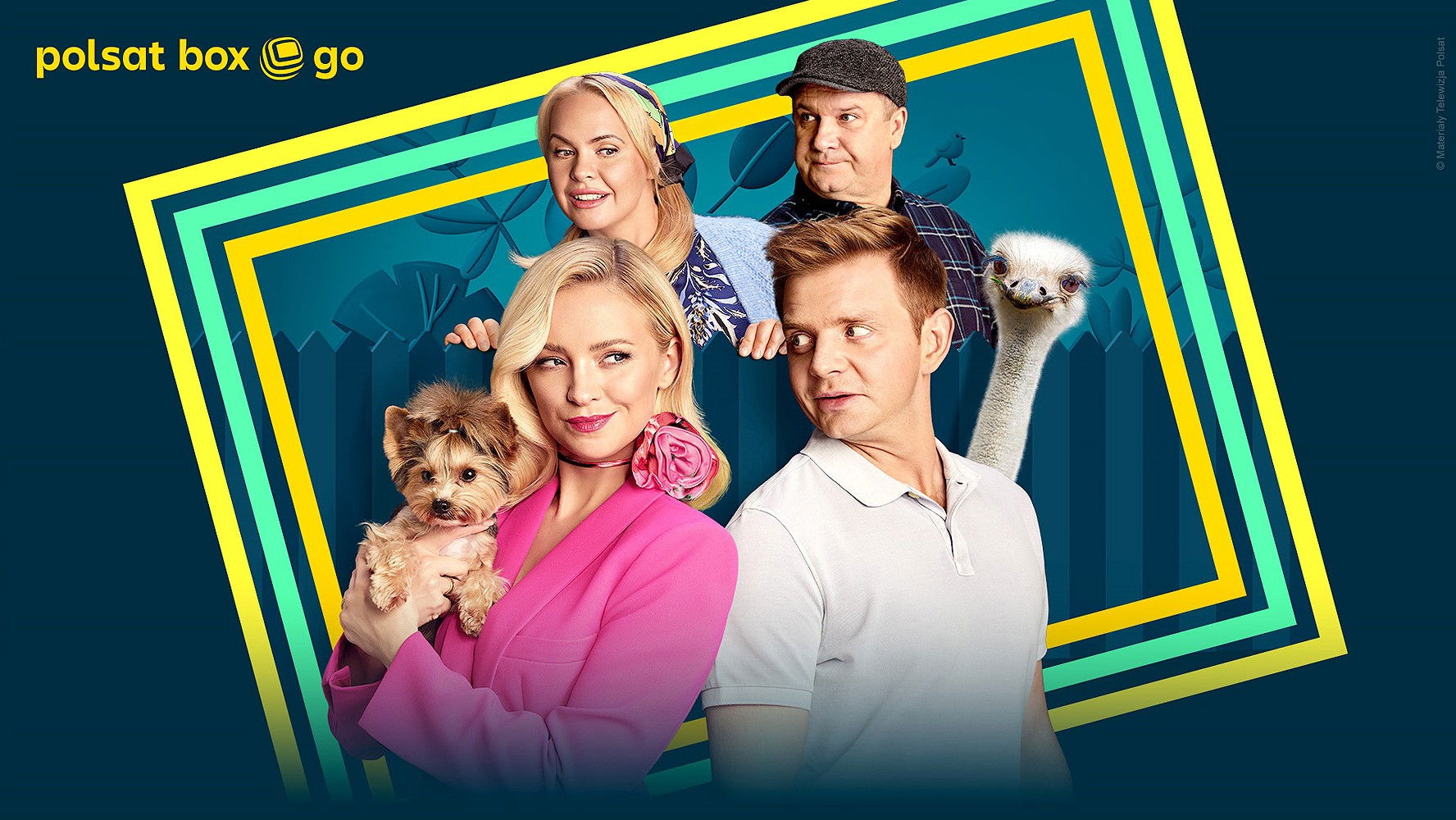 Backdrop for House for Happiness