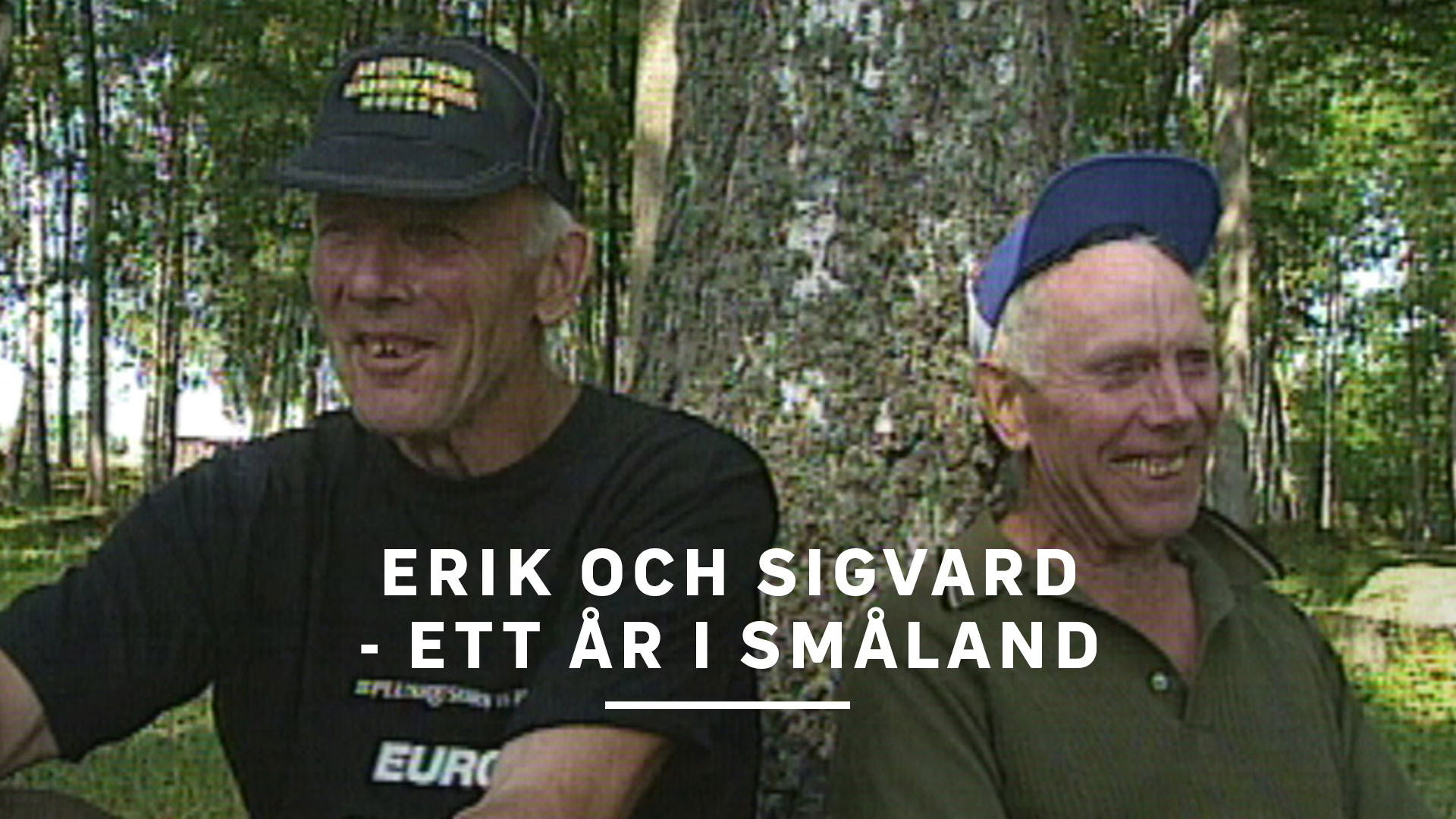Backdrop for Erik and Sigvard: A year in Småland
