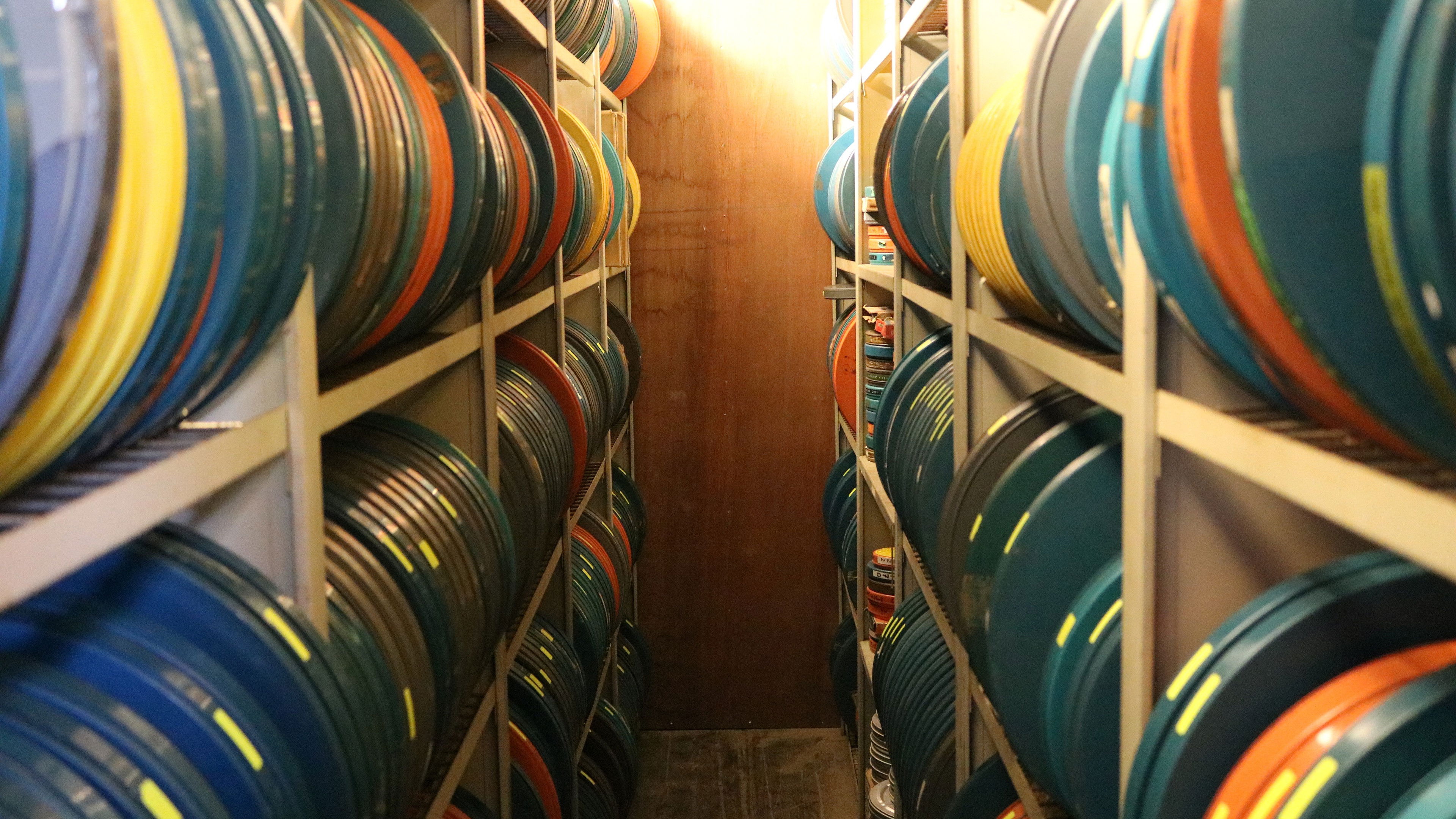 Backdrop for Archive of Life