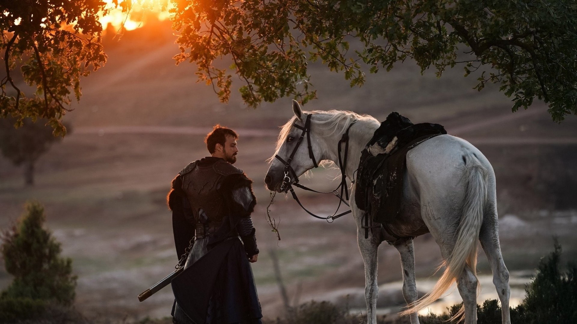 Backdrop for Founder: Orhan