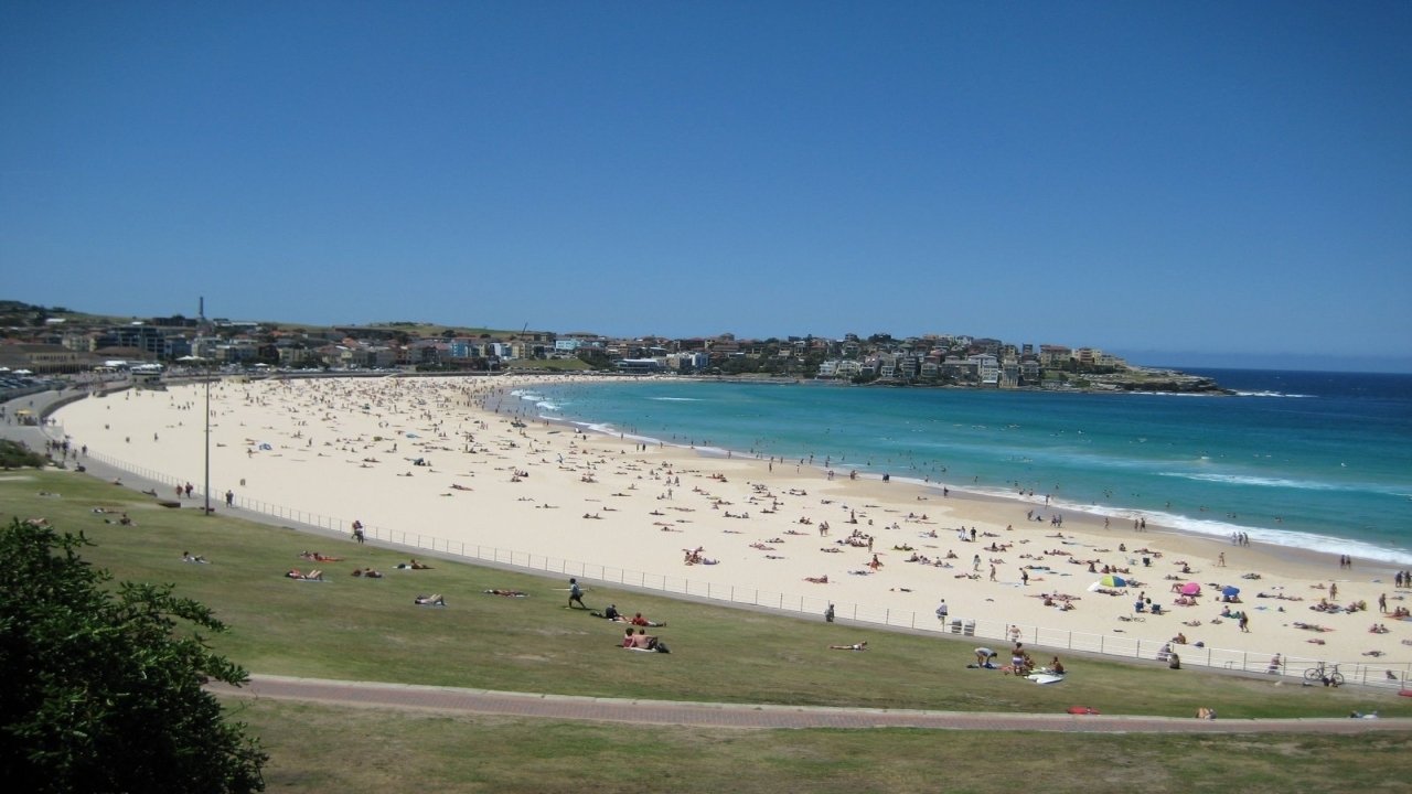 Backdrop for Bondi Rescue