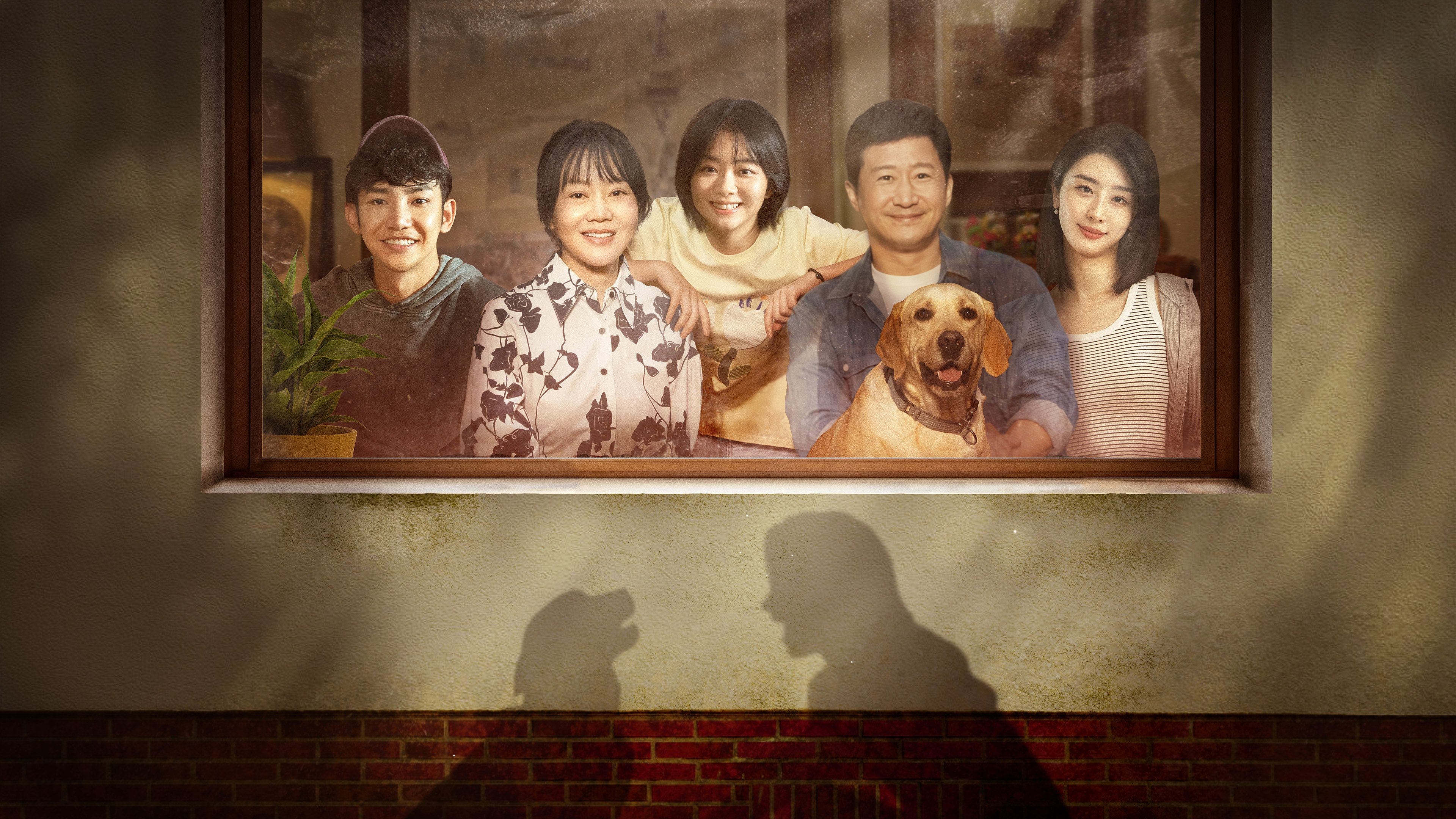 Backdrop for So Long for Love