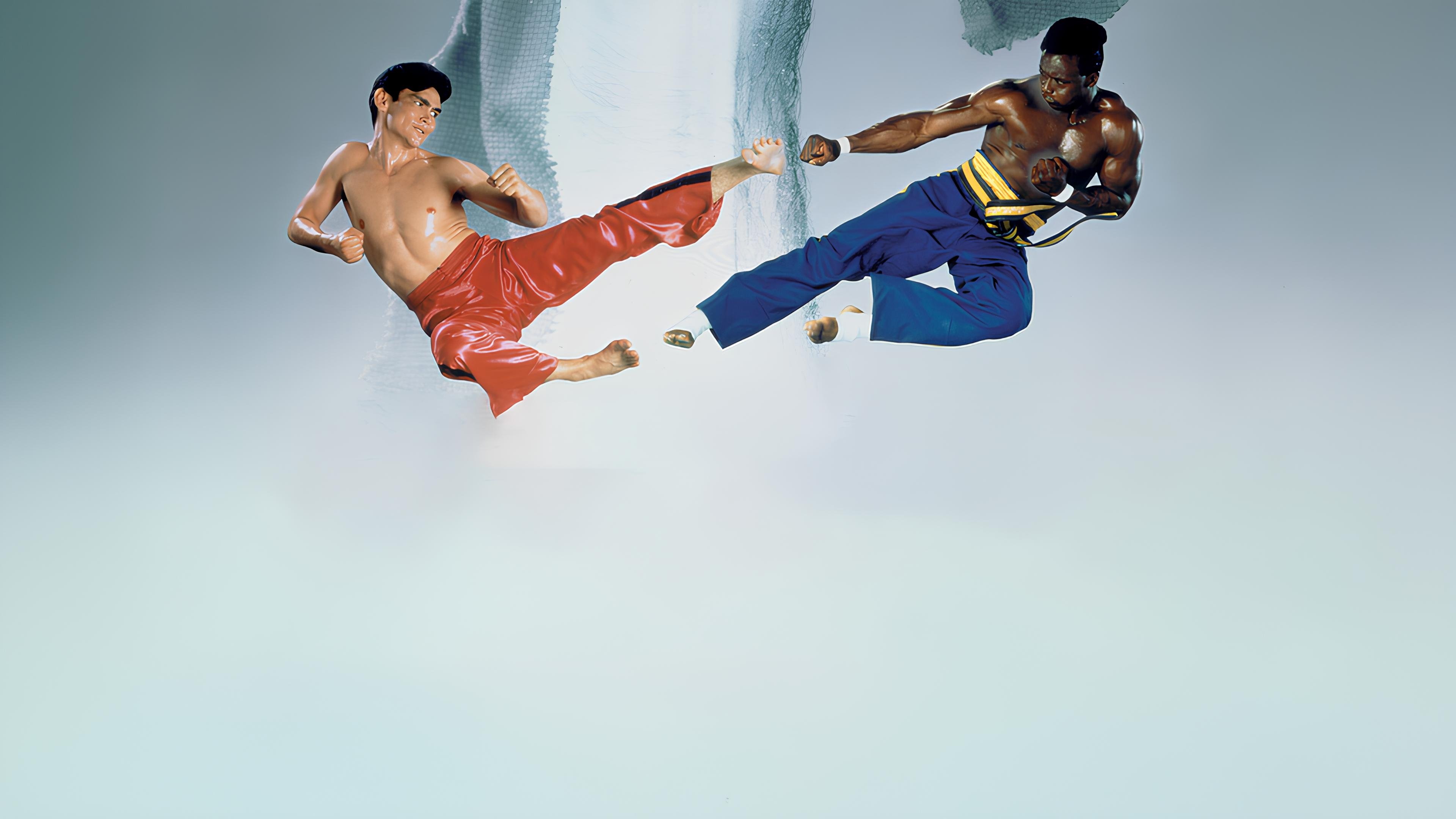 Backdrop for Bloodfist