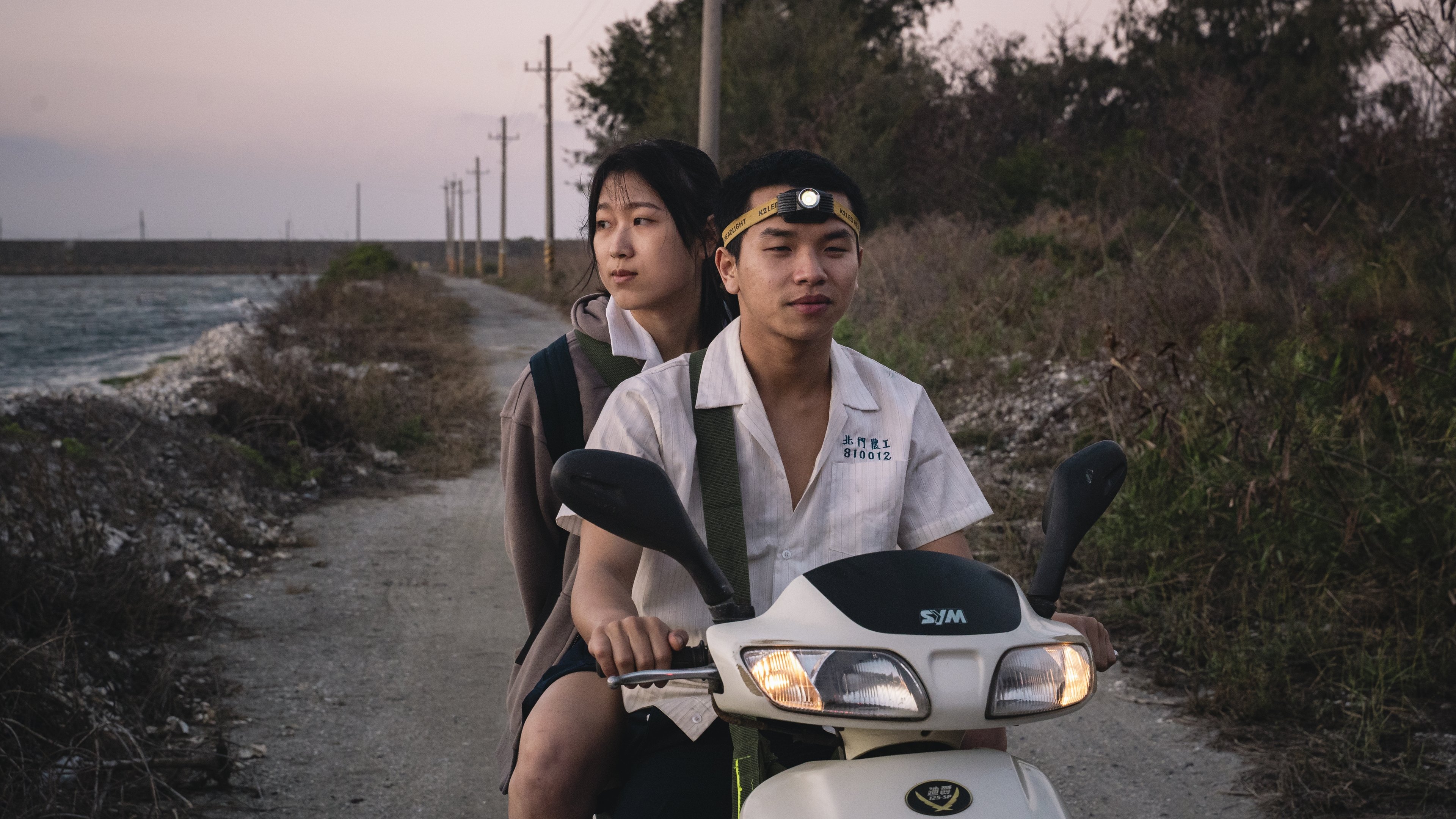 Backdrop for Caged Dog