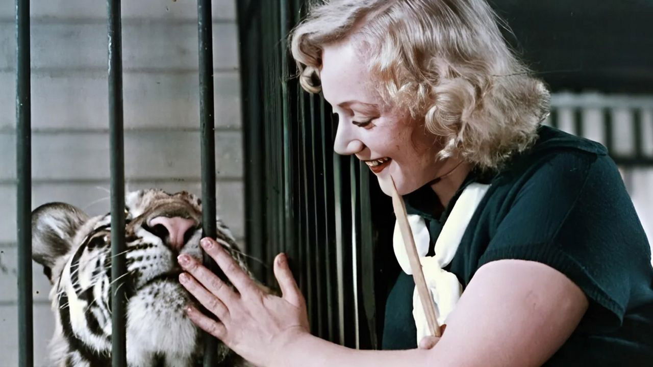 Backdrop for Tiger Girl