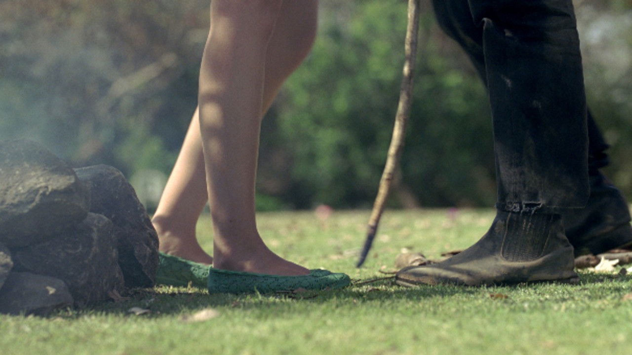 Backdrop for Black Sheep