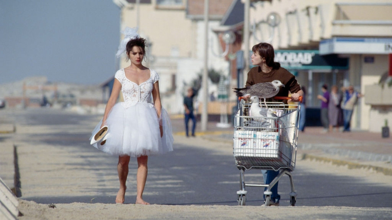 Backdrop for Thank You, Life