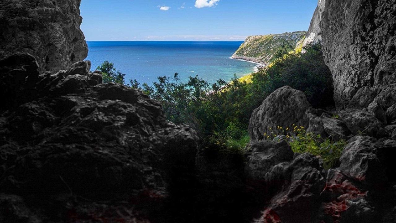 Backdrop for In Darkness We Fall