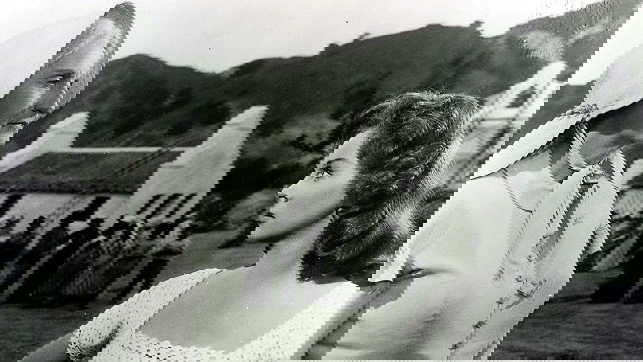 Backdrop for Untamed