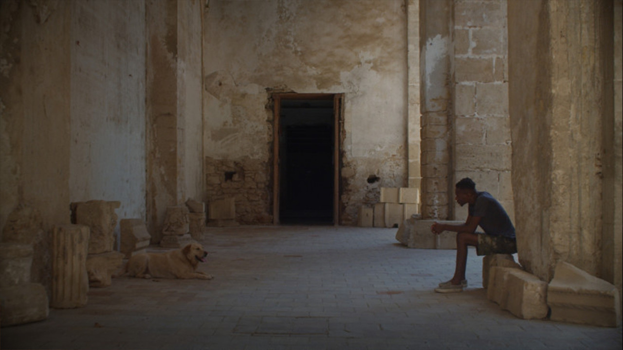 Backdrop for Palermo Sole Nero