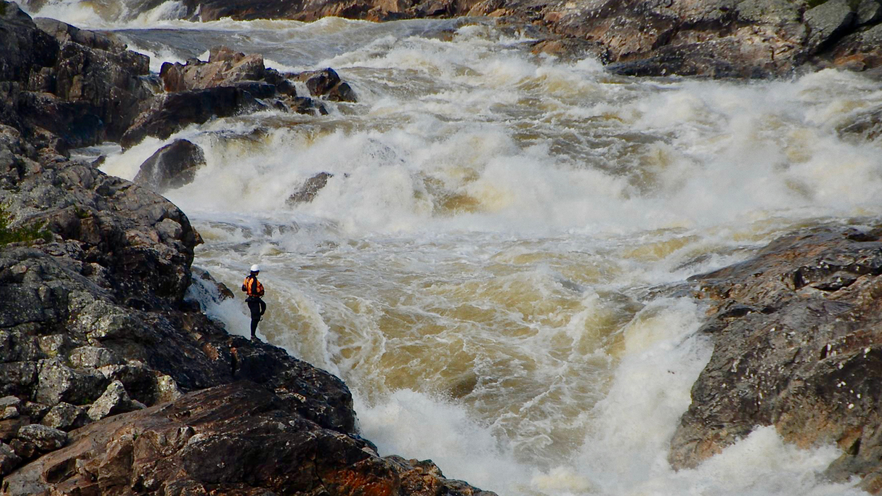 Backdrop for Je suis Magpie