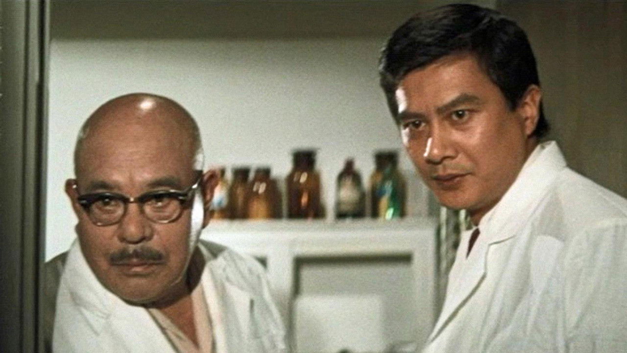 Backdrop for Sex and Life