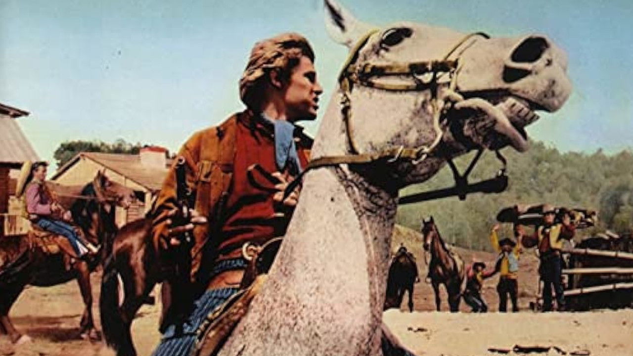 Backdrop for Djurado