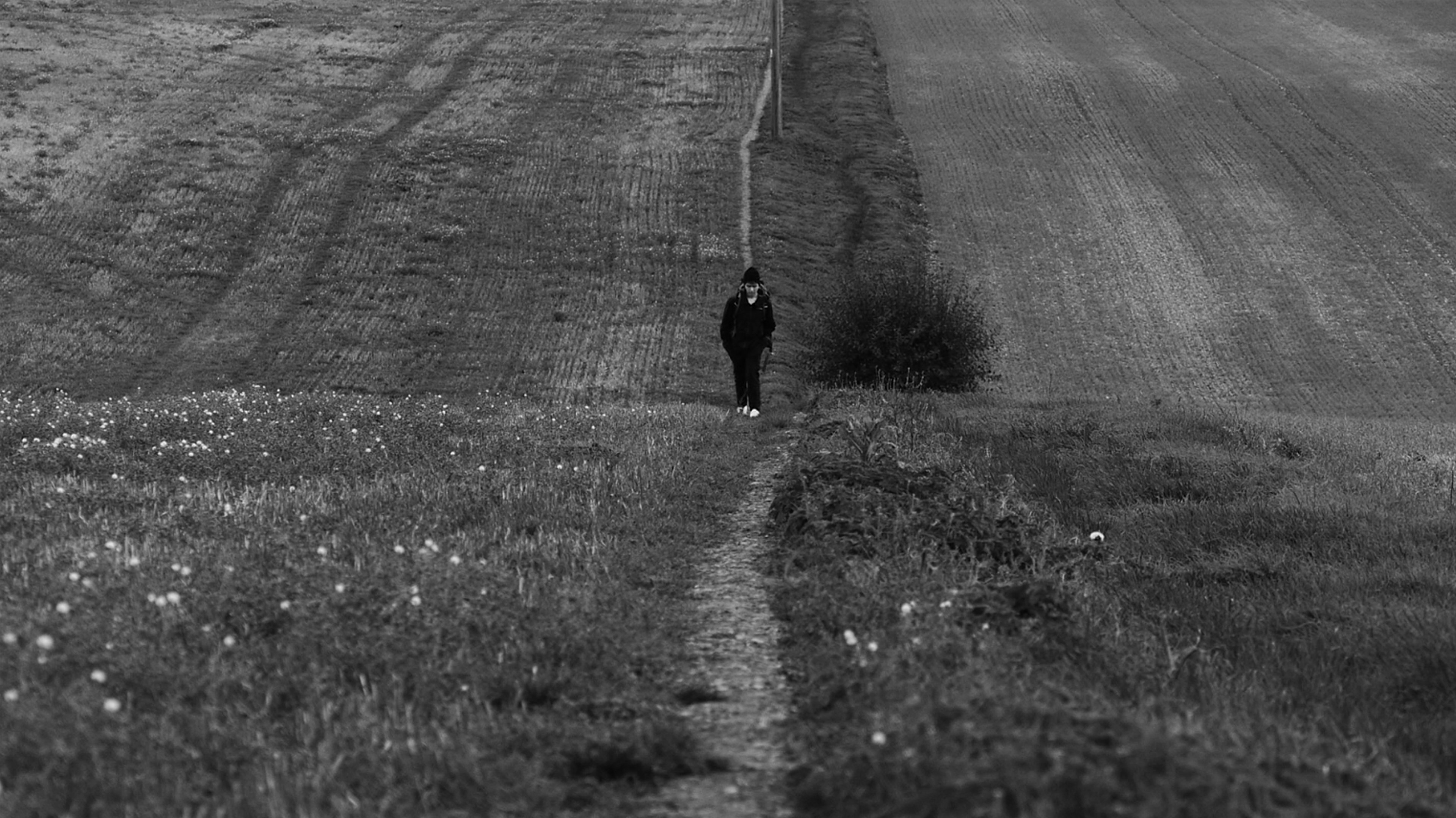 Backdrop for Our House